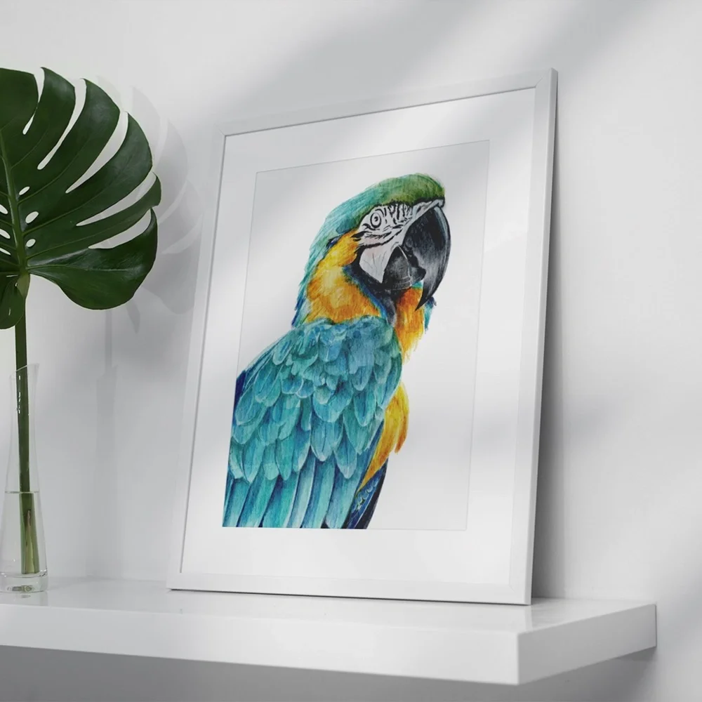 Blue Macaw Parrot Bird Watercolor Wall Art Print Poster Unframed - Picture 5 of 8